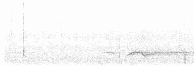 gråbuklattertrost - ML619388559