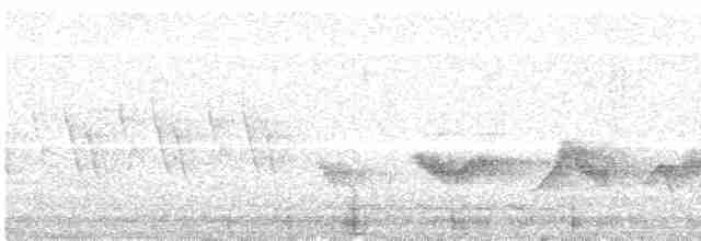 Чернокрылая пиранга - ML619388583