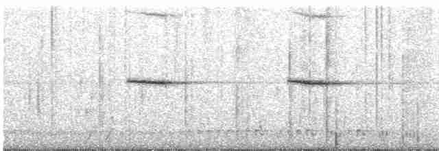 Горихвістка сиза - ML619388740