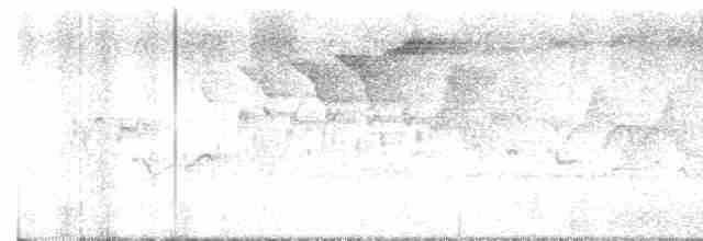 Черногорлая хвойница - ML619388886