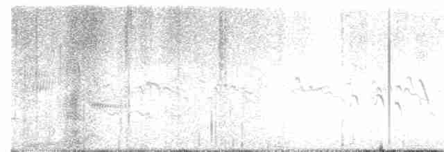 דרורן זהוב - ML619389052