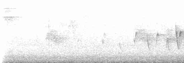 Paruline à gorge grise - ML619389129