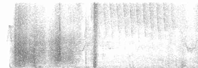 Paruline à calotte noire - ML619389203