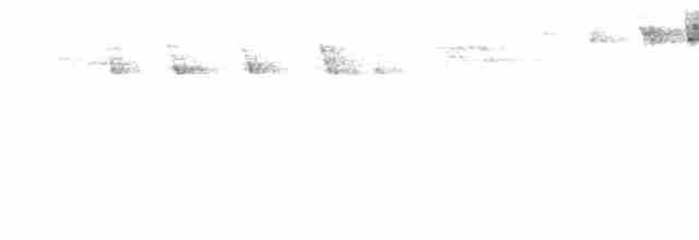 svarthetteparula - ML619389234
