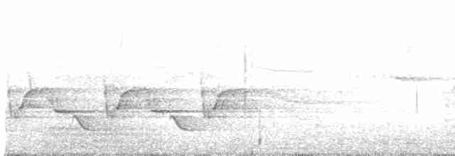 Каролинский крапивник - ML619389264