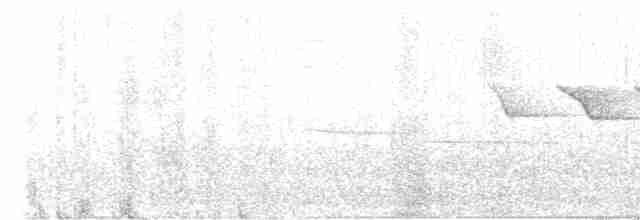 Трясогузковый певун - ML619389285
