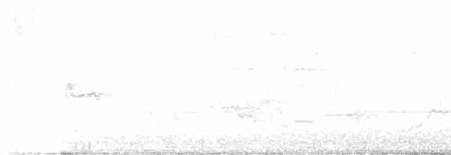Sarı Karınlı Boreal Sinekkapan - ML619389329