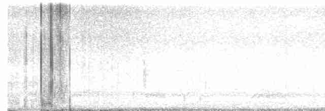 Paruline à capuchon - ML619389923