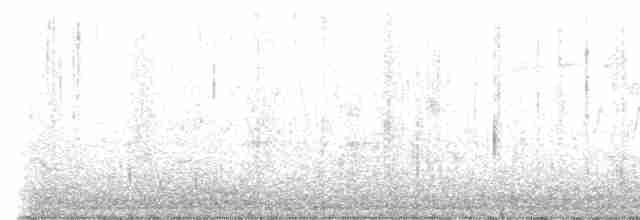 Ивовый мухолов - ML619390351