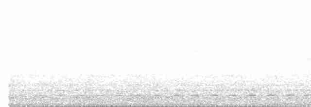 Streifenbrust-Ameisendrossel - ML619391003