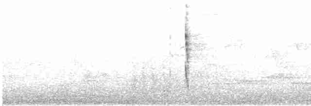 Troglodyte mignon - ML619391164