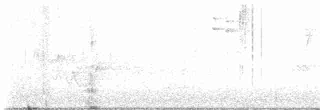 Paruline à gorge noire - ML619391200