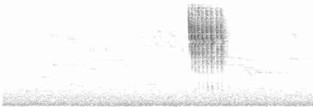 střízlík obecný - ML619391224