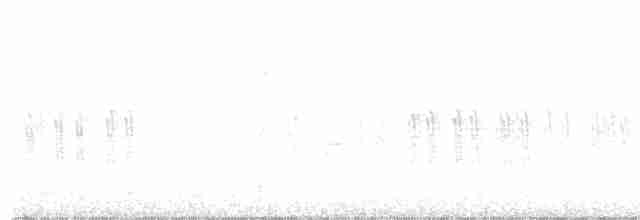 křivka bělokřídlá - ML619391232