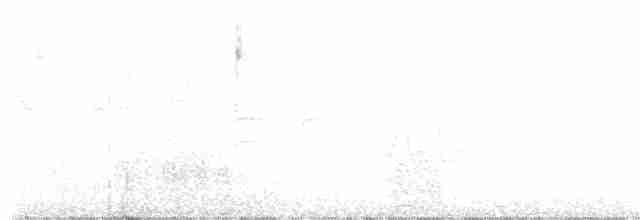 křivka bělokřídlá - ML619391233