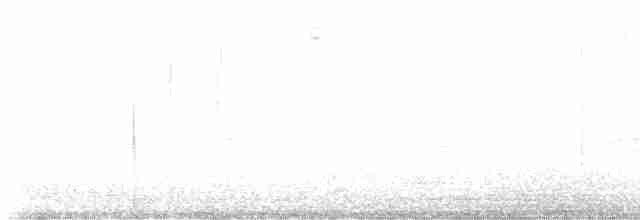Каролинский крапивник - ML619391261