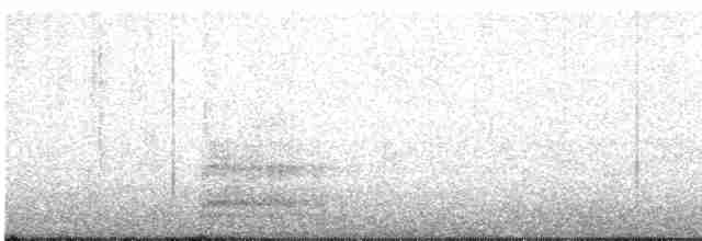 Малая белая цапля - ML619391371