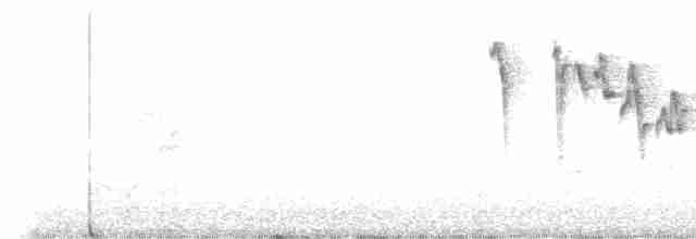 Gri Böğürlü Kamışbülbülü - ML619391524