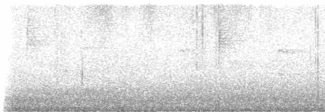Paruline à gorge grise - ML619392392