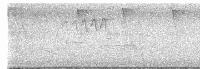 Трясогузковый певун - ML619392404