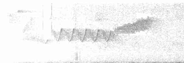 Cerulean Warbler - ML619392861