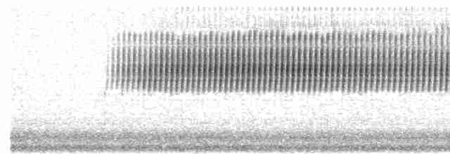 Cırcır Sesli Serçe - ML619393005