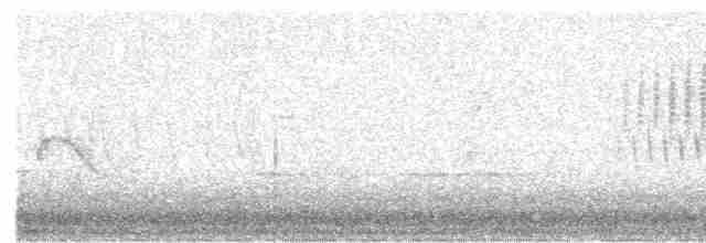 Evening Grosbeak (type 2) - ML619393010
