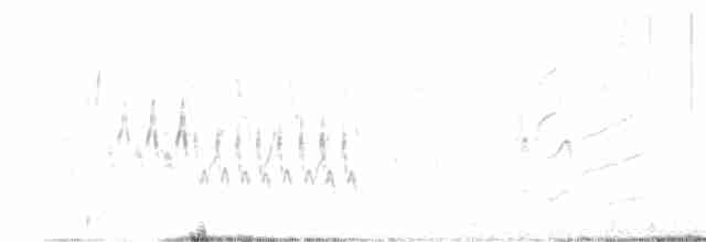 Troglodyte familier - ML619393050