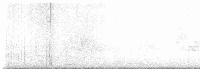 Paruline à gorge grise - ML619393082