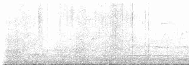 Paruline à gorge grise - ML619393682