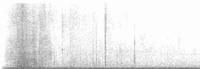 Pine Warbler - ML619393698