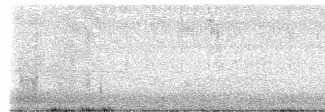 Юнко сірий [група oreganus] - ML619394128
