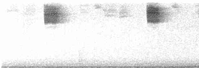 Kara Gözlü Junko [oreganus grubu] - ML619394352