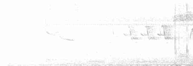 Gözlüklü Baştankara - ML619394459