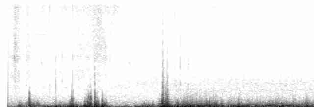 Little Tern - ML619394462