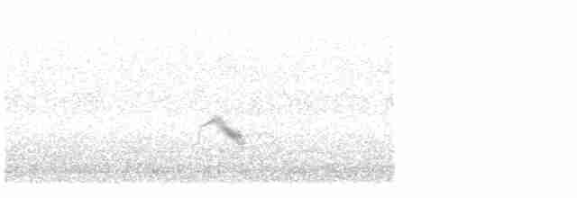 Дрізд-короткодзьоб малий - ML619394621