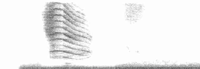 Пересмішник сірий - ML619395369