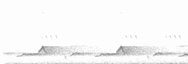 Schwarzkehl-Nachtschwalbe - ML619395447