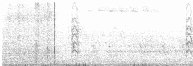 Black Tern - ML619395504