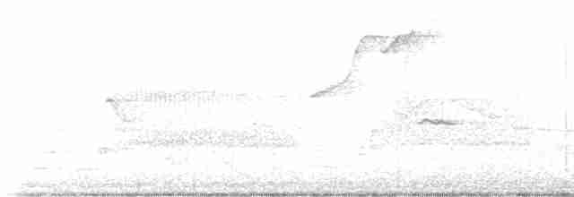 Connecticut Warbler - ML619396327