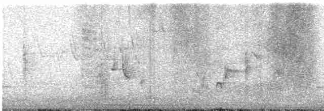 drozdec černohlavý - ML619396723