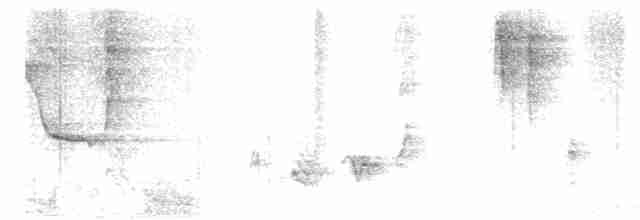 Пересмішник сірий - ML619396976