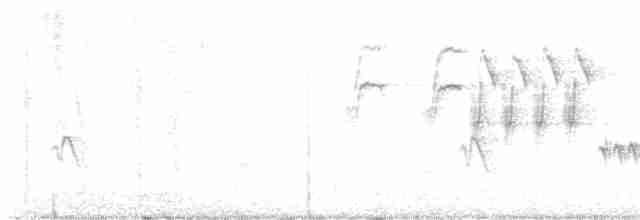 Длиннохвостый крапивник - ML619397094
