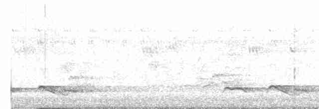 Зозуля білогорла - ML619397149