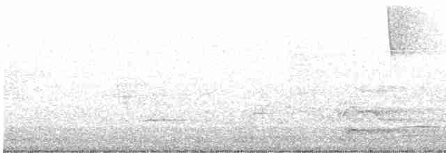 Paruline à gorge grise - ML619397525