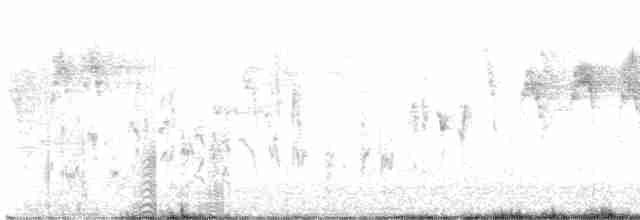 Каштановоспинная гаичка - ML619397673