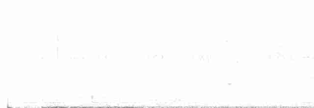 Bruant sauterelle - ML619397920