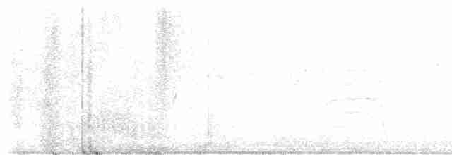 Дрізд-короткодзьоб плямистоволий - ML619398166