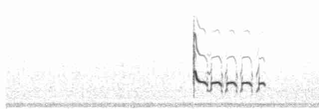 Common Redshank - ML619398499