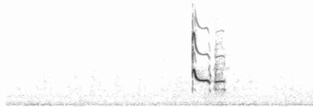 Common Redshank - ML619398504
